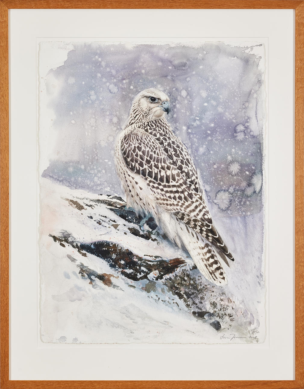 LARS JONSSON. “Winter pattern, young Greenland falcon”. Art
