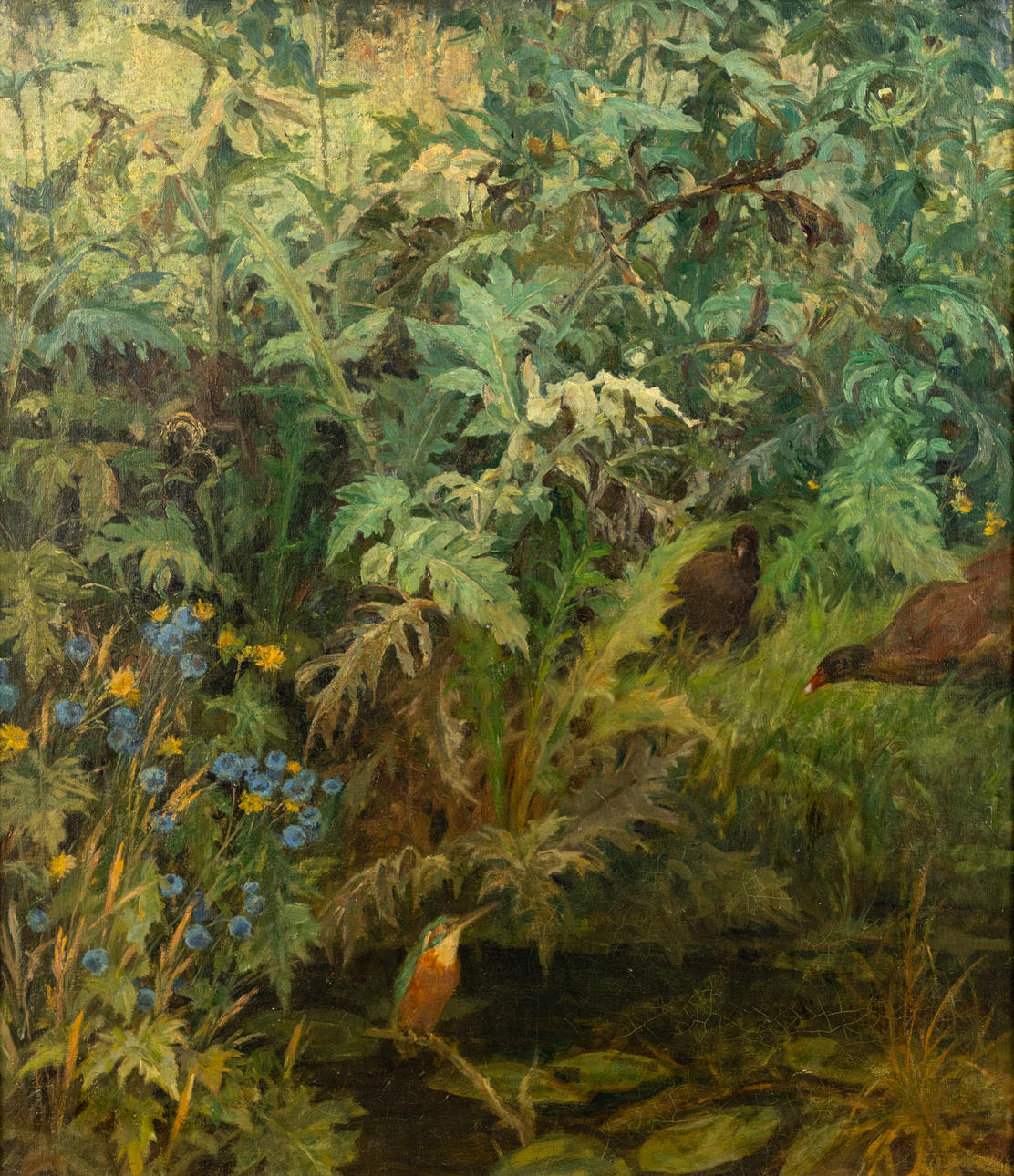 ADOLF HARTEN (1877-1967). Different birds on the pond. Art - Paintings ...
