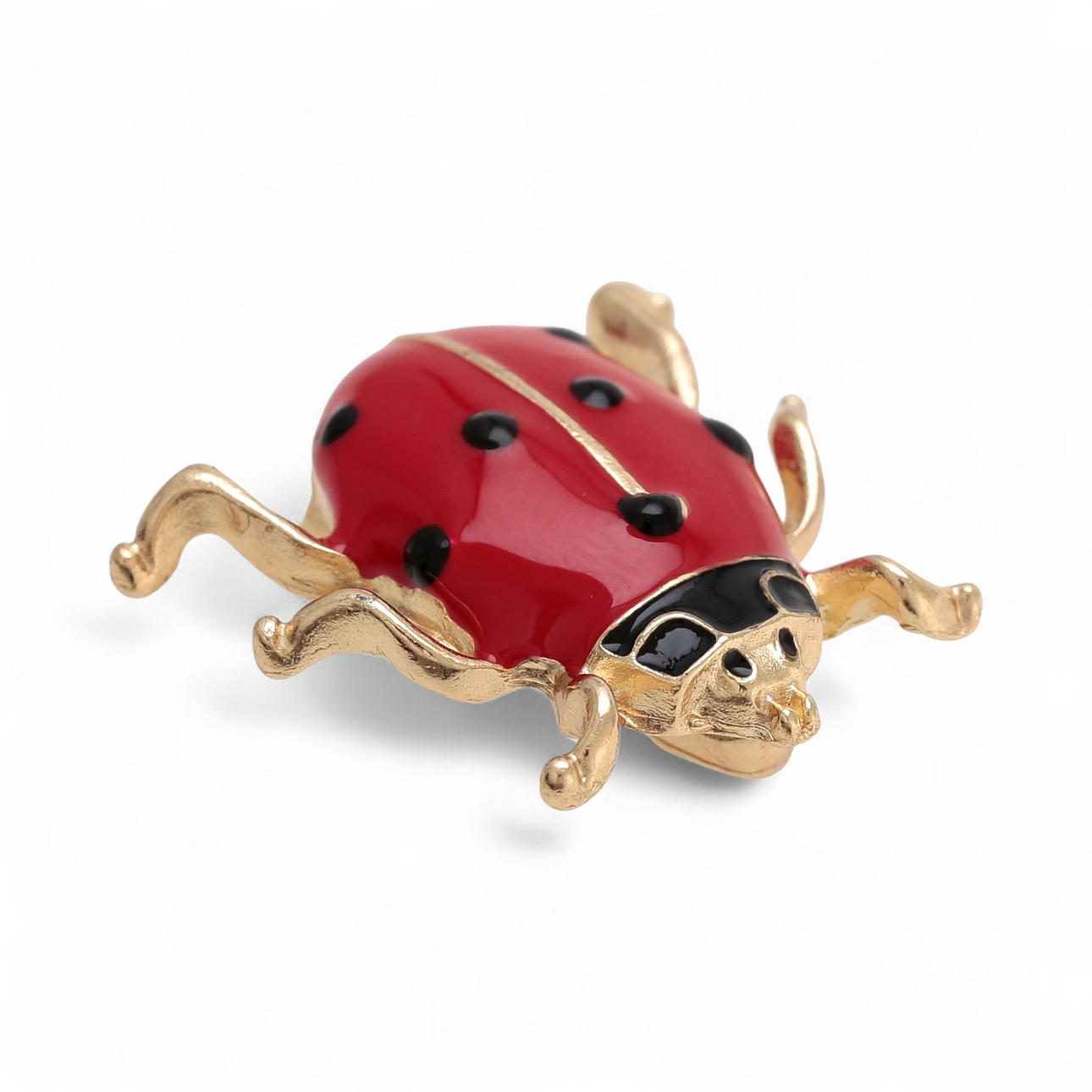Broche en forma de mariquita.