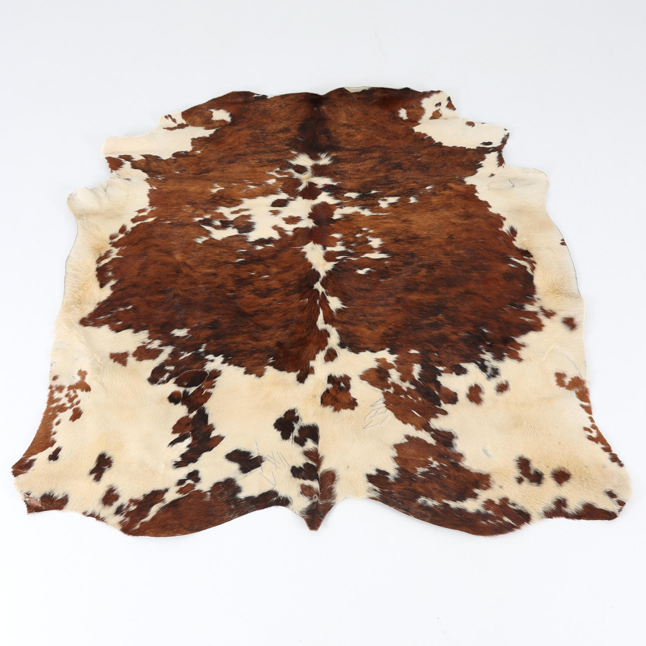 KOHUD, mått ca 180 x 170 cm.