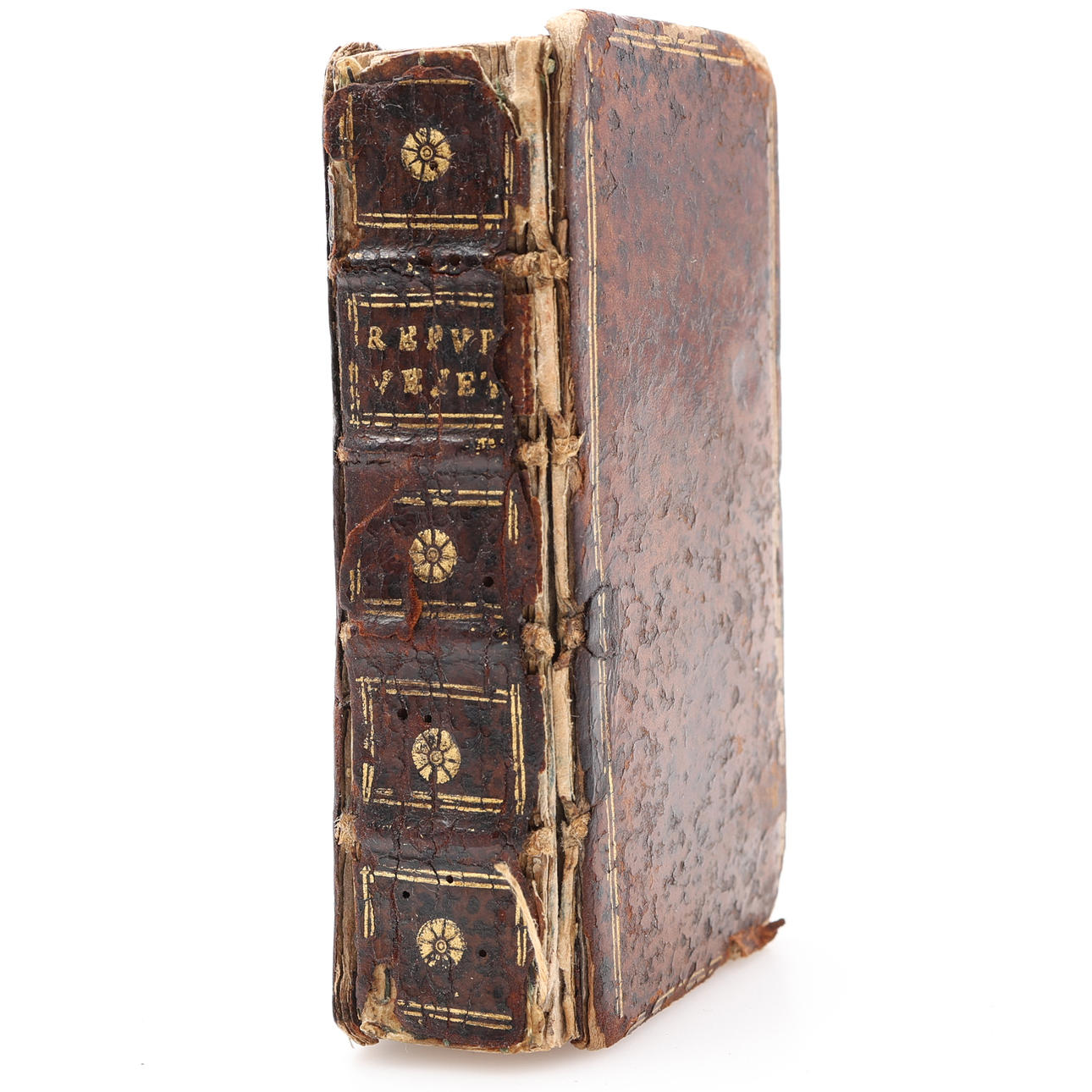 ELZEVIER. DONATO GIANOTTIS REPUB DIALOGER. VENNER, MED INFORMATION OG LIB. SINGULARITETER AF EIUSDEM REIP FORM. i 1631.