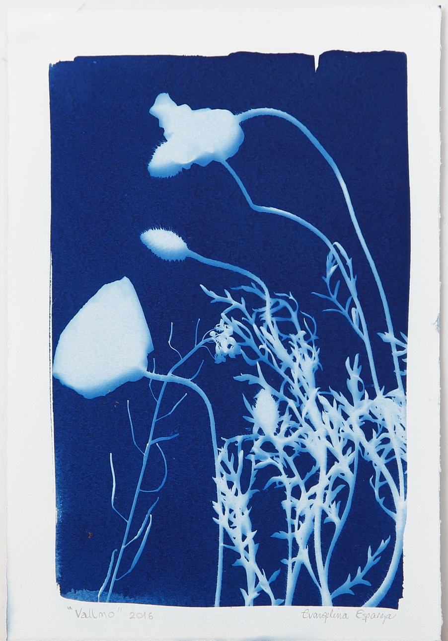 EVANGELINA ESPARZA. ”Vallmo", färglitografi, signerad och daterad 2016.