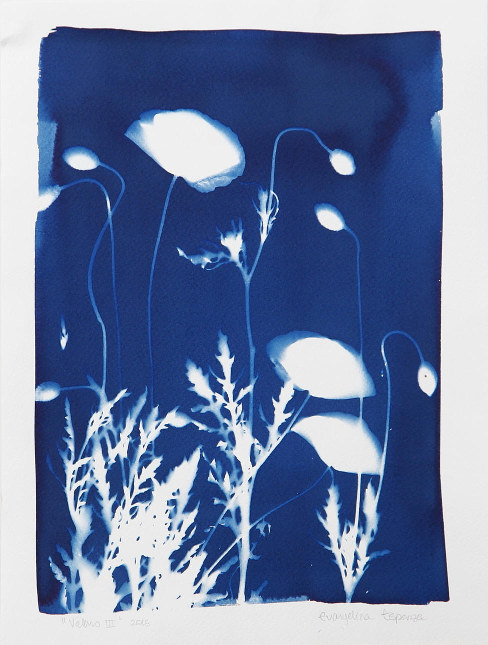 EVANGELINA ESPARZA. ”Vallmo III", färglitografi, signerad och daterad 2016.