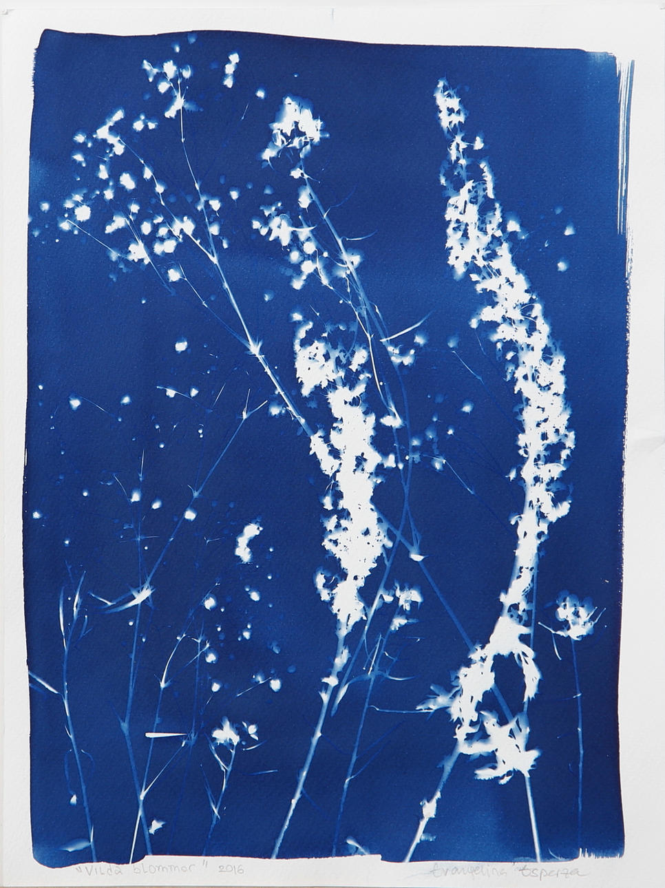 EVANGELINA ESPARZA. ”Vilda blommor" färglitografi, signerad och daterad 2016.