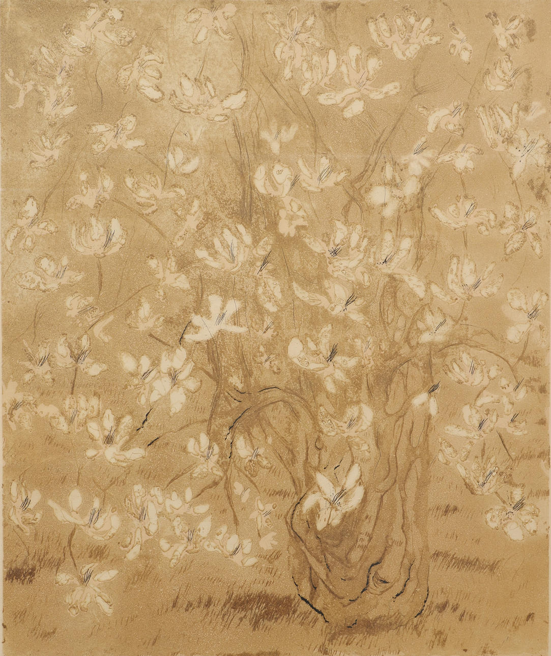 MARGRET KROCH-FRISHMAN. Etching, “Magnolia”, signed, numbered 20/150.