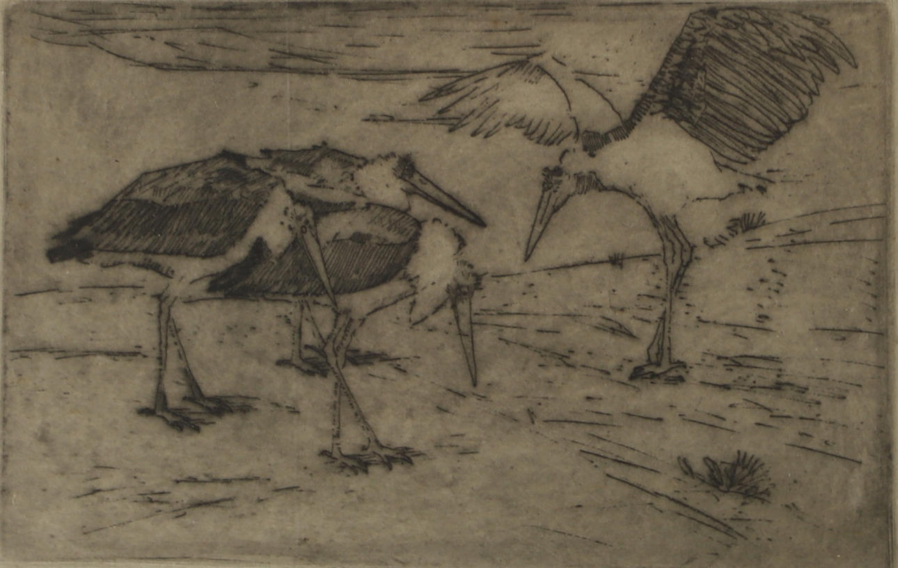 ERNST NORLIND. Storks, etching, ss.
