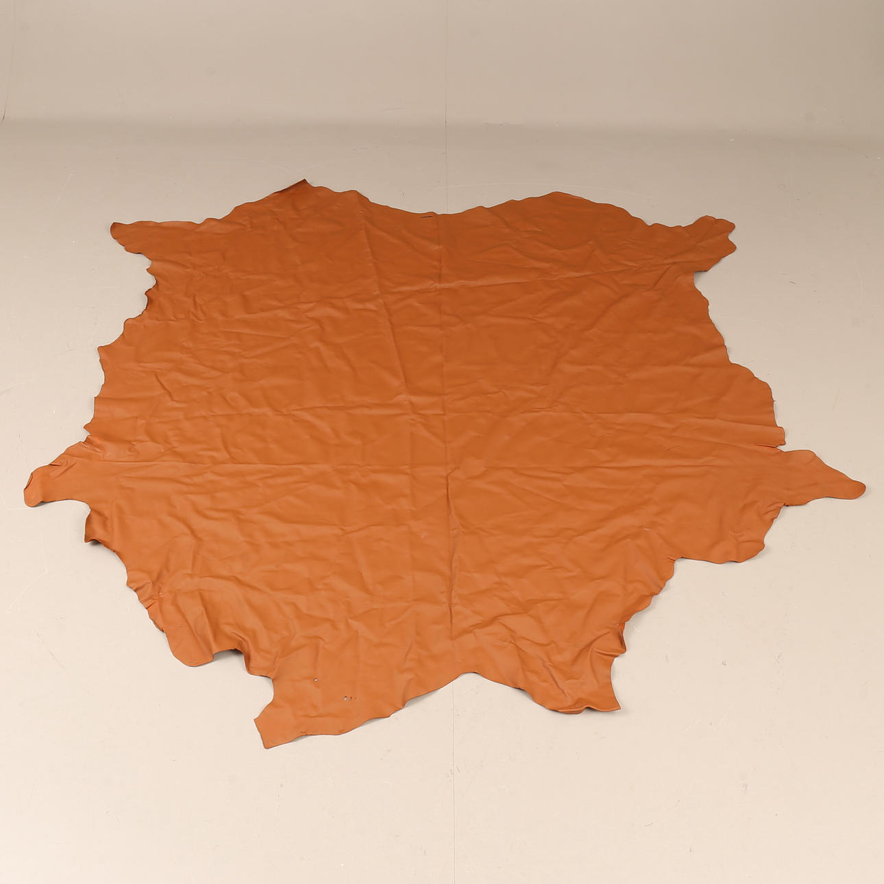 NAHKAINEN NAHKA, Elmosoft.