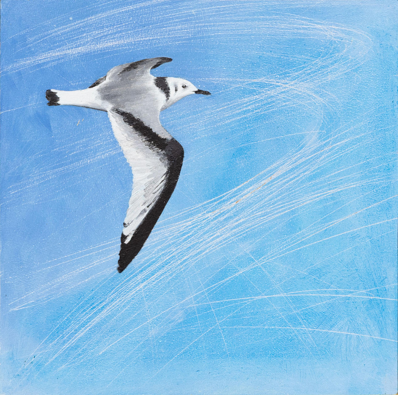JACKIE LYND. Three-toed gull, mixed media on mdf, signed and dated 2020.