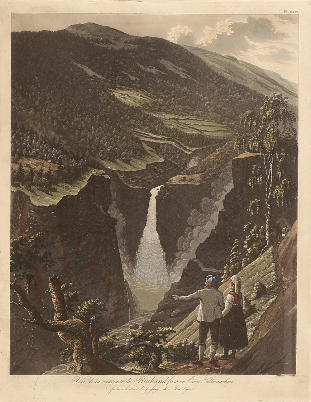 WILHELM MAXEMILLIAN CARPELAN, reproduktion.