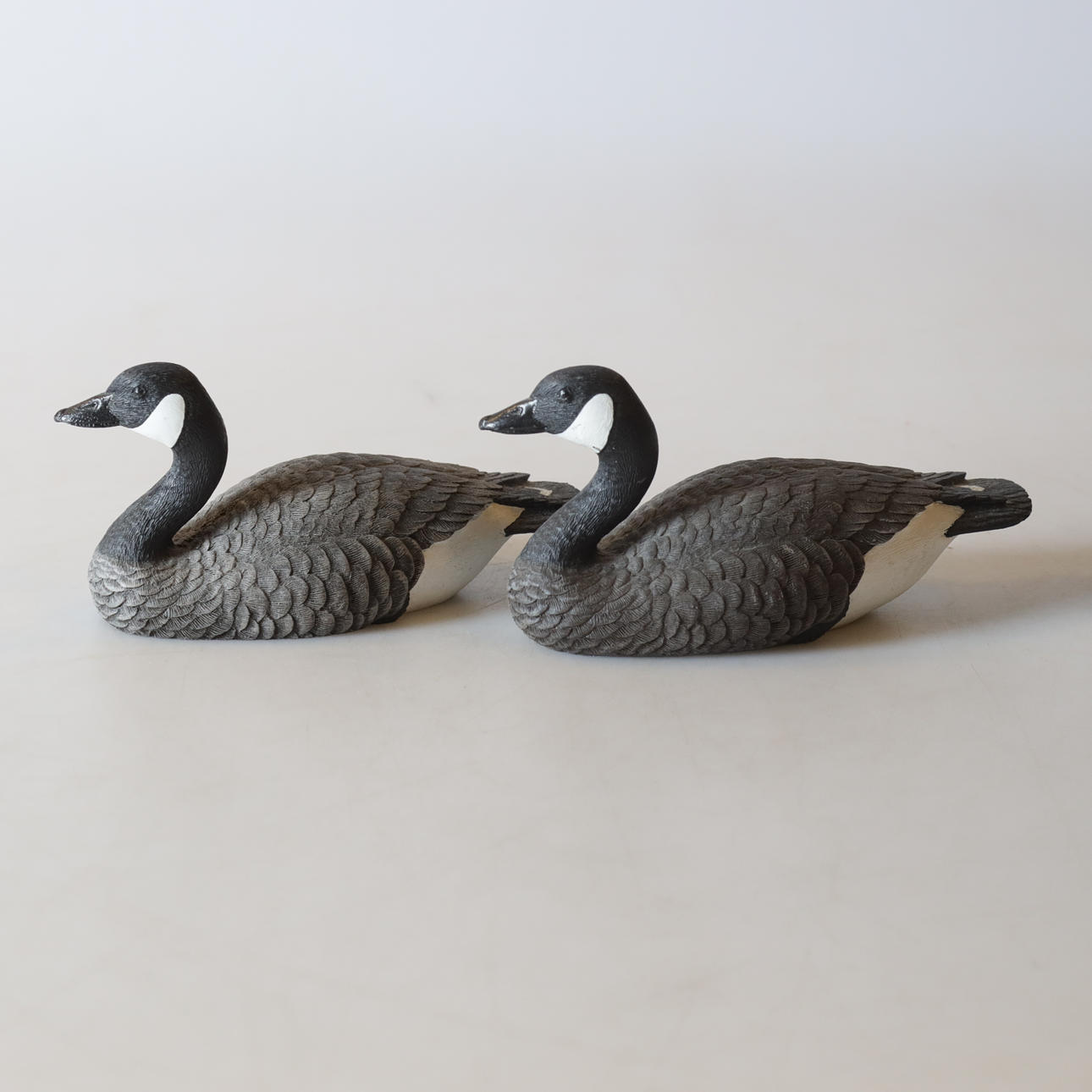 Kanadanhanhihahmoja, ett par, taidemassa.