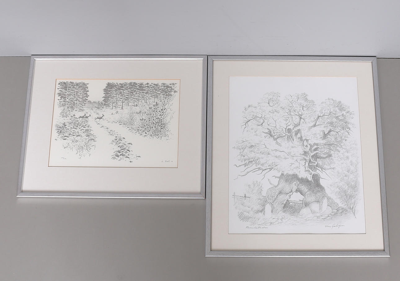 Two graphics, print Sture Gustafsson and lithograph Lennart Frisk, signed.