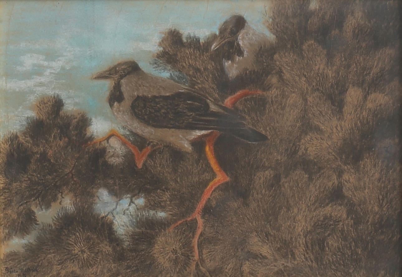 GÖSTA YDSTRÖM. Kråkor. Pastell, signerad och daterad 1917.
