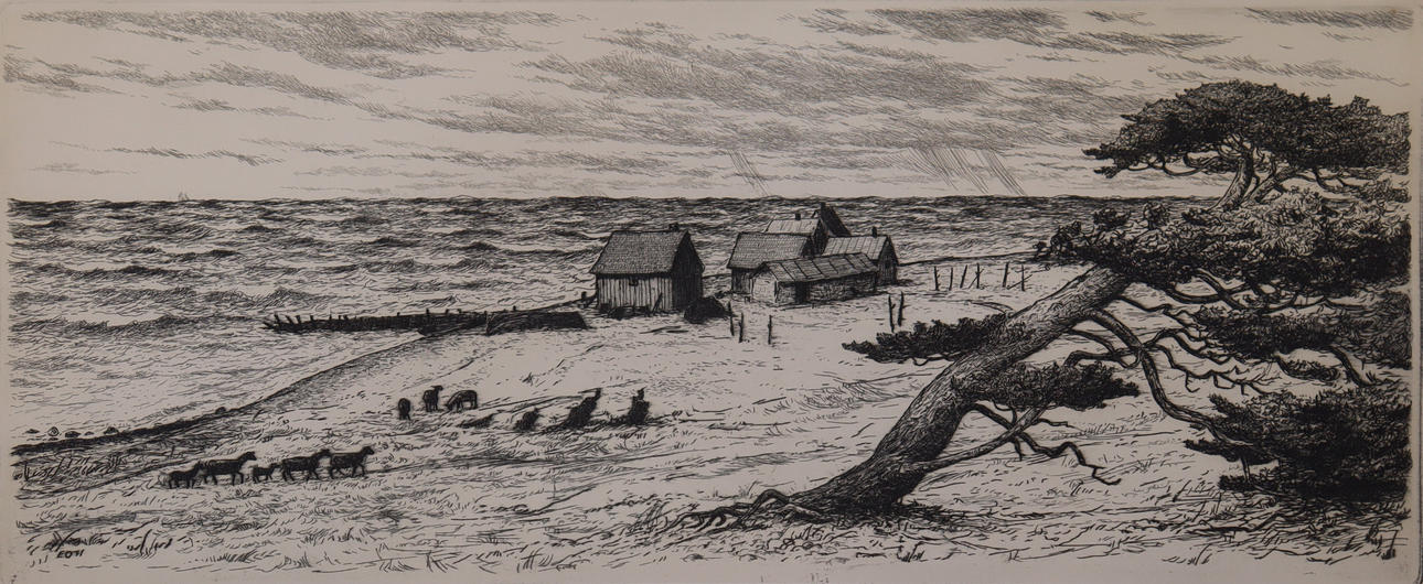 ERIK OLSSON SANDA, etching, fishing mode.