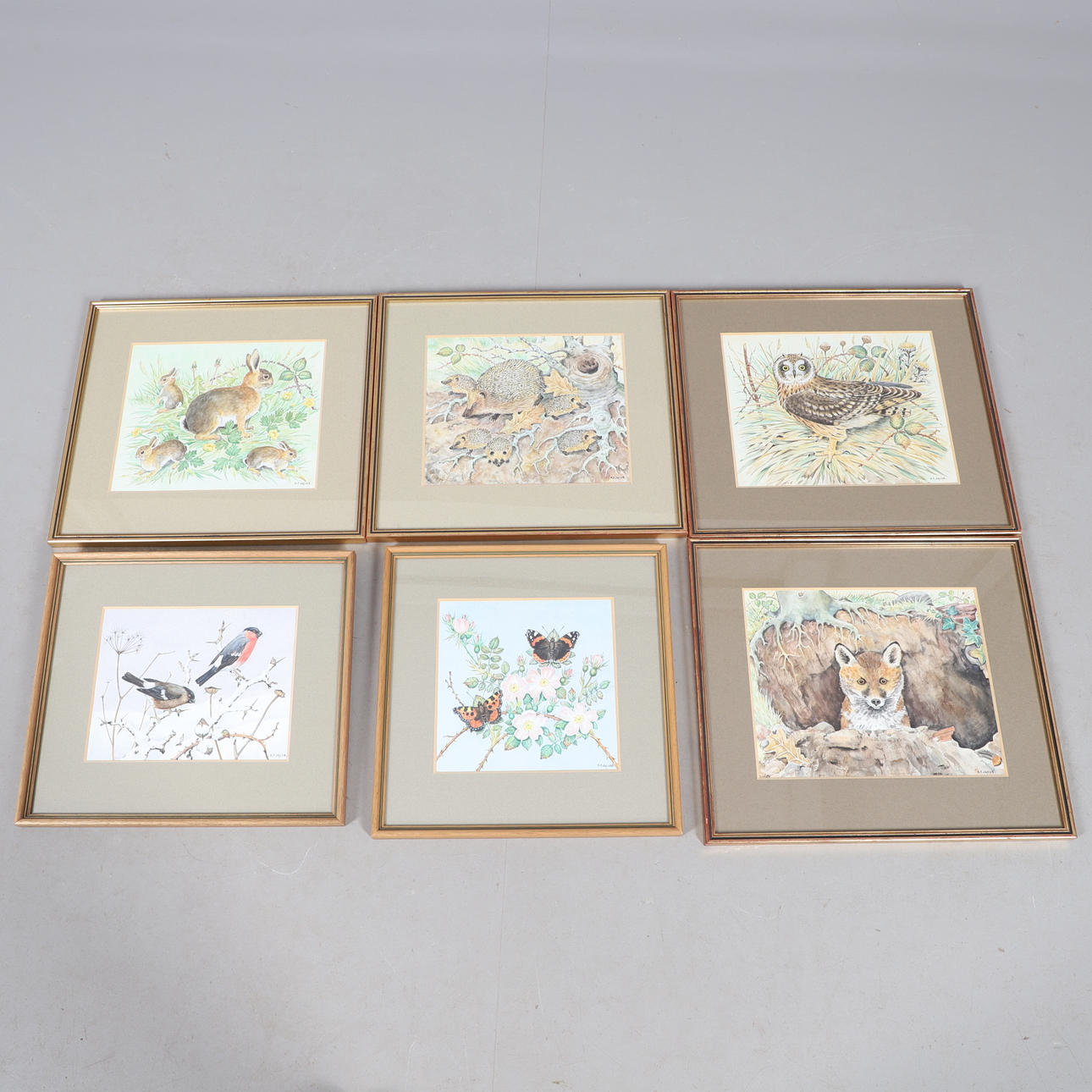 R. F. JACOB. IGEL, FUCHS, HASEN, SCHMETTERLINGE, VÖGEL, EULE.