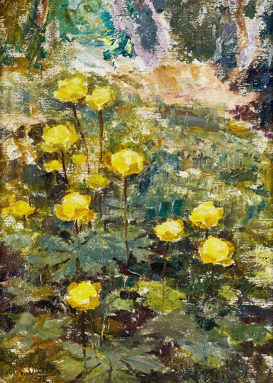 JOHAN BLADH (1893-1976). “Butter balls in marsh”, signed and dated Joh. Bladh -72, oil on canvas.