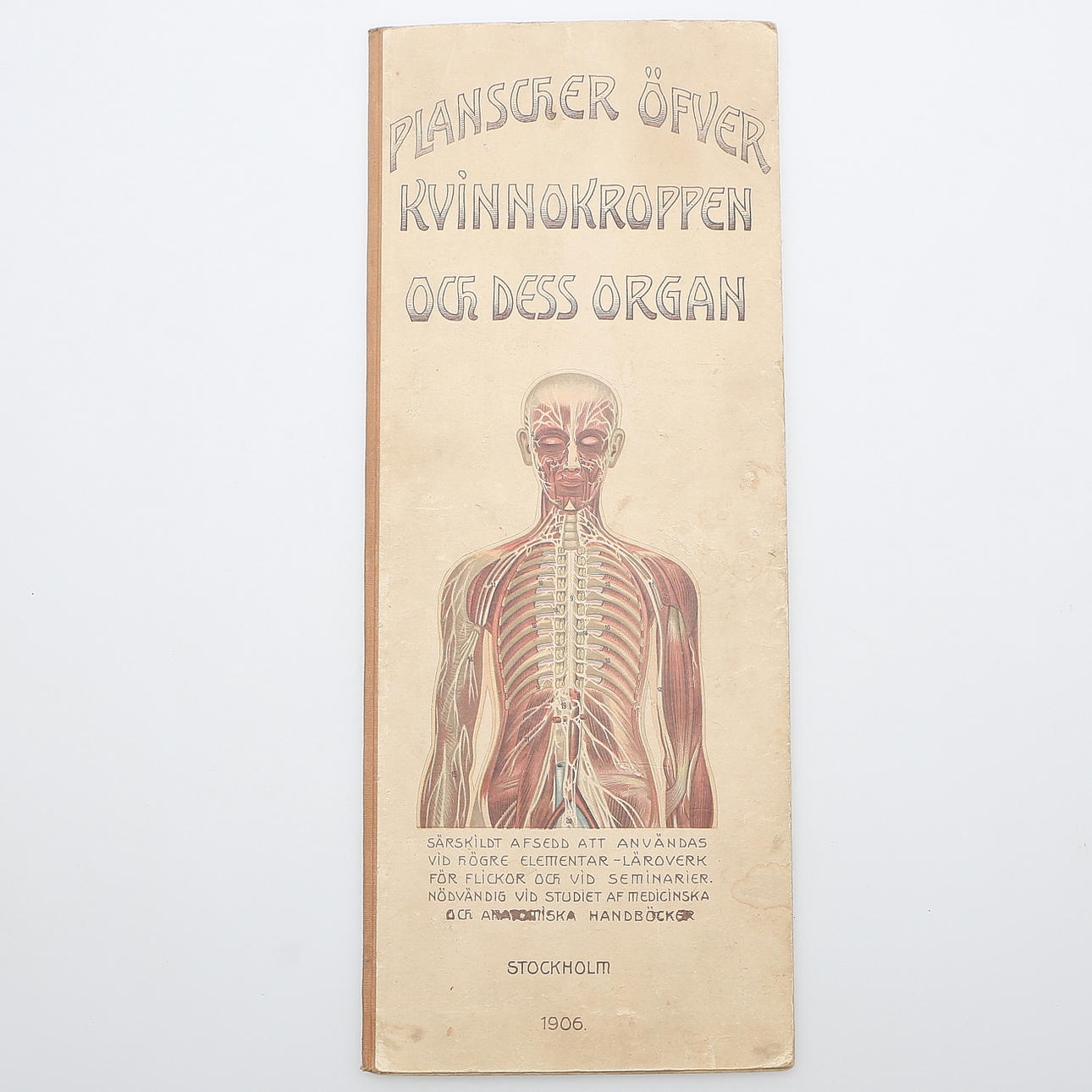 HÄFTE, med planscher över kvinnans anatomi, OL. Hansens Bokförlags-Aktiebolag, Stockholm, 1906.