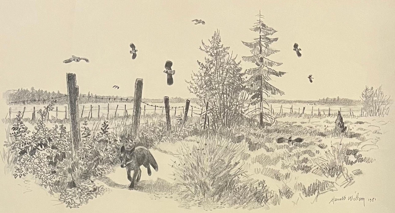 HARALD WIBERG. Landscape with fox and birds. Print, signed and dated in print 1981.