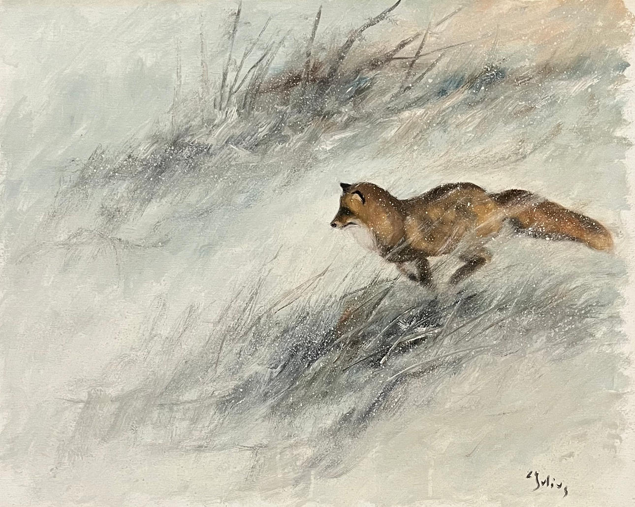 CARL JULIUS. Fox. Oil on canvas, signed C Julius.
