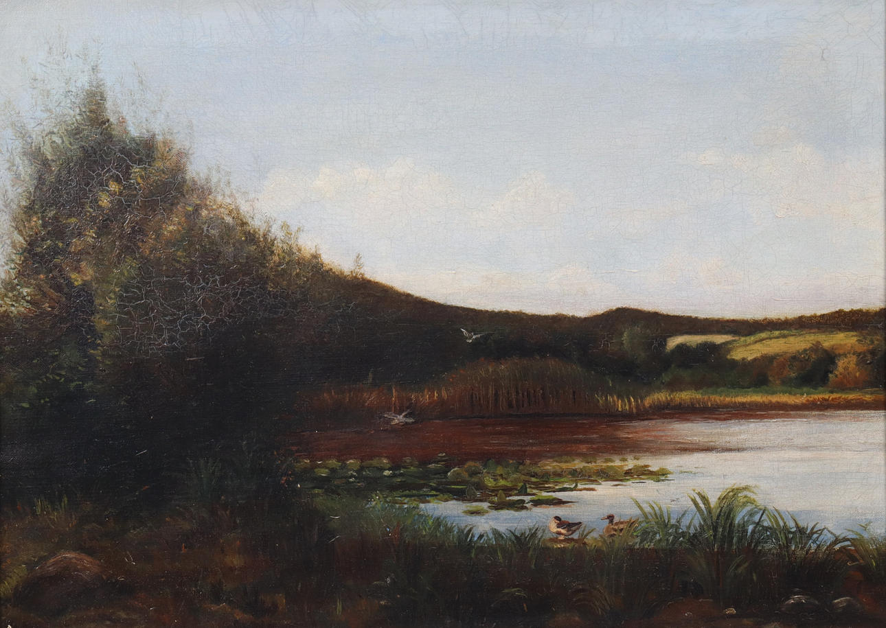 Peter Oscar Willerup (1864-1931), attributed, oil on canvas, ducks on dust.