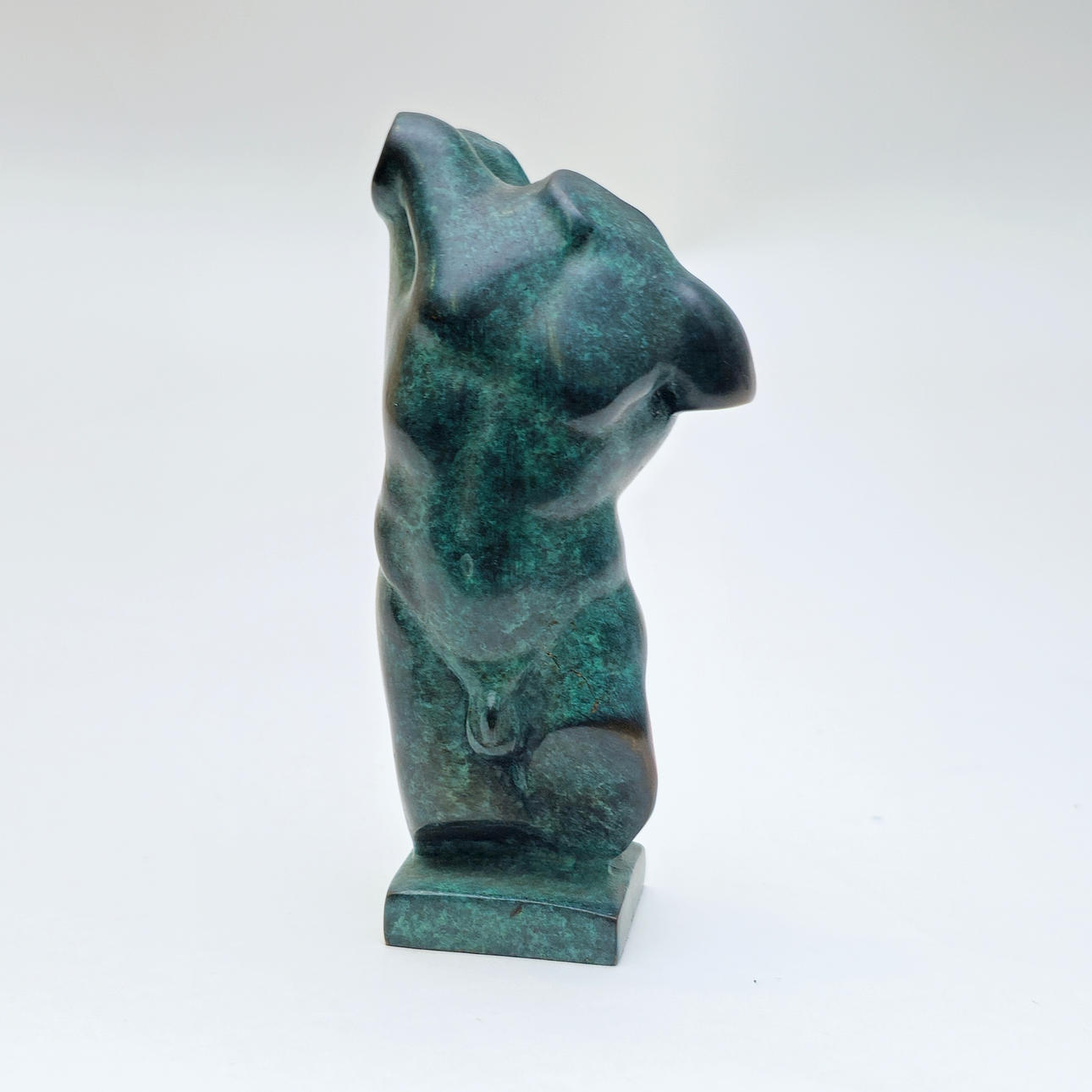 MÄNNLICHE BRONZEBÜSTE.