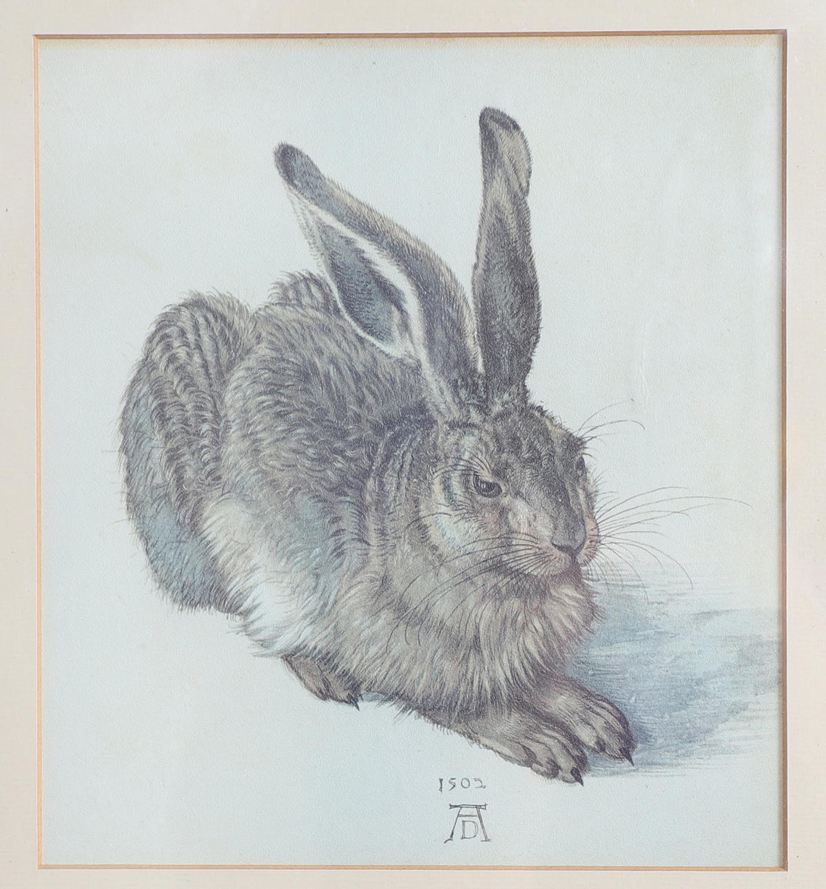 AFTER ALBERTO DURERO. YOUNG HARE, 1502.