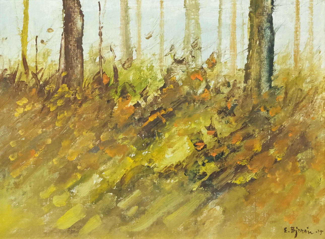 EKE BJERÉN. “CLEARING”.