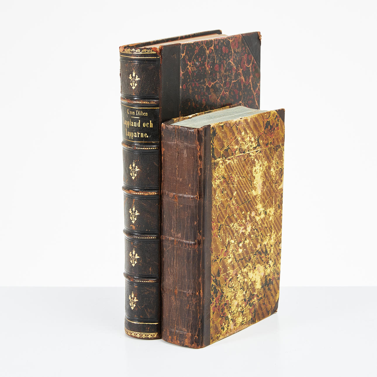LAPPONICA, ZETTERSTEDT, DÜBEN, 2 BDE.