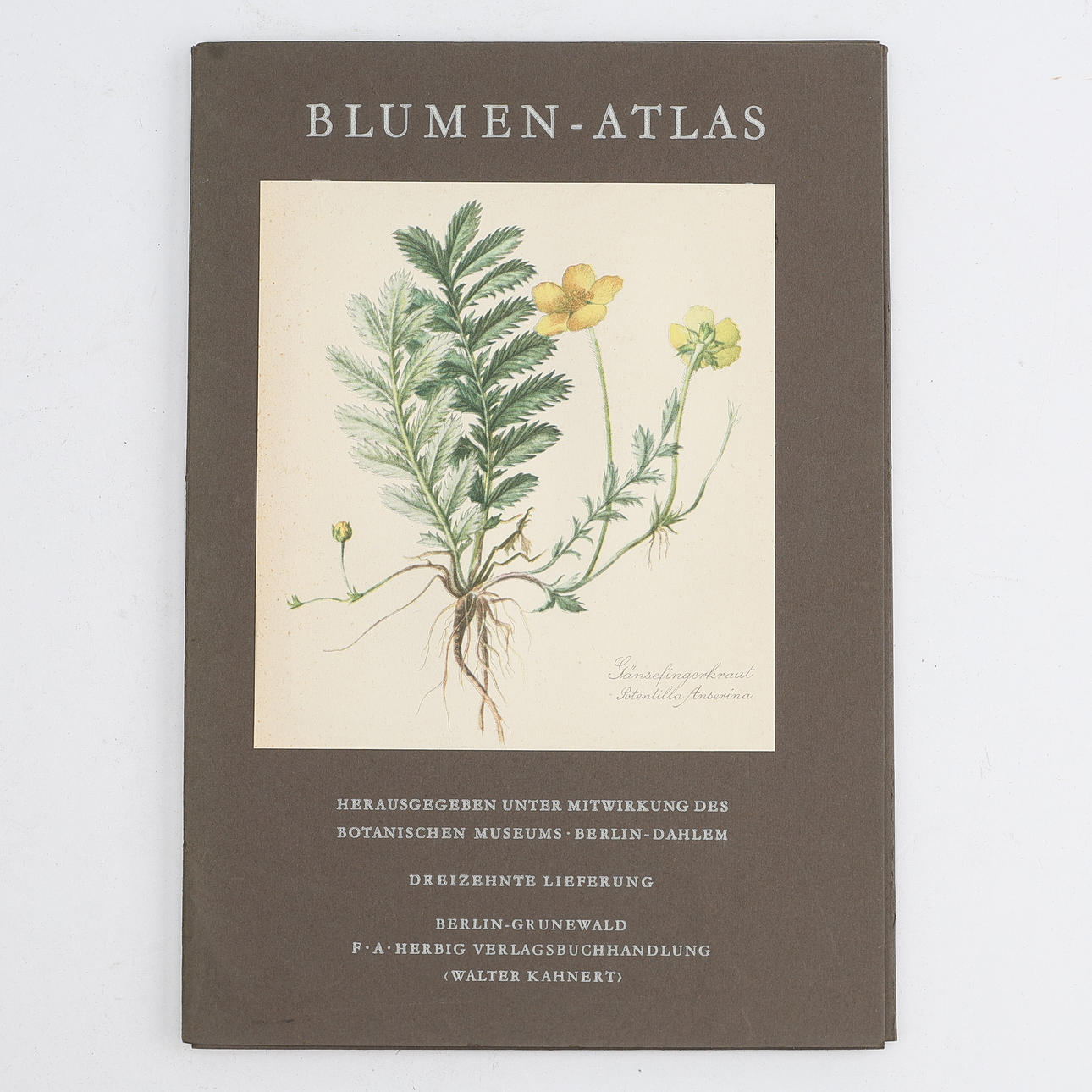 FOLDERS WITH GRAPHIC SHEETS, 20 pcs, complete with 15 sheets each, “Blumen-Atlas”.