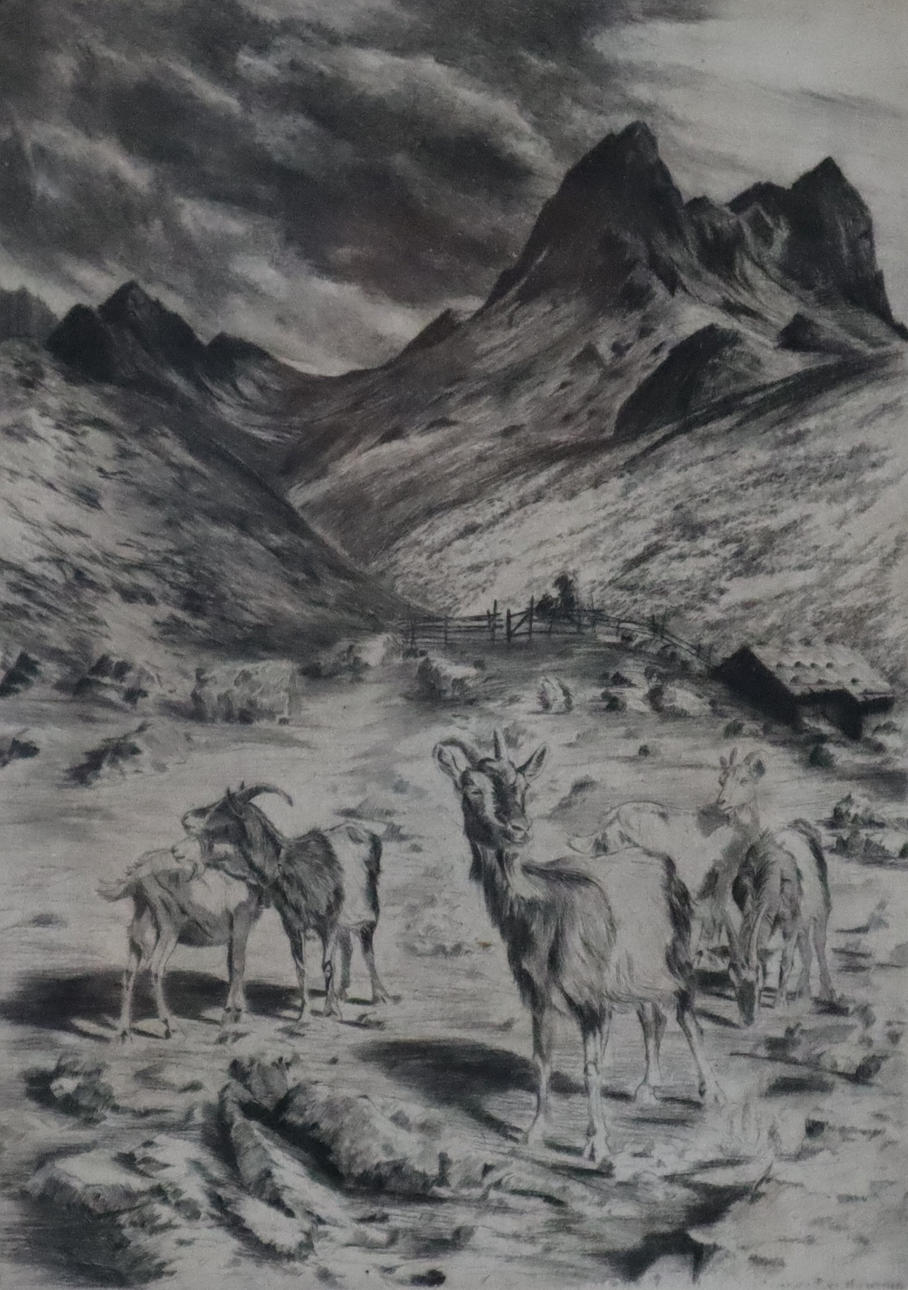 UNBEKANNTE/R KÜNSTLER/IN. - Goats in a mountain landscape, etching on paper.