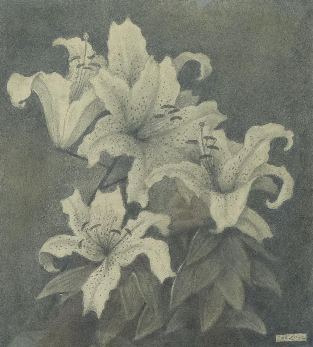 OWE  ZERGE. COMPOSITION WITH LILIES, PENCIL, SIGNED.