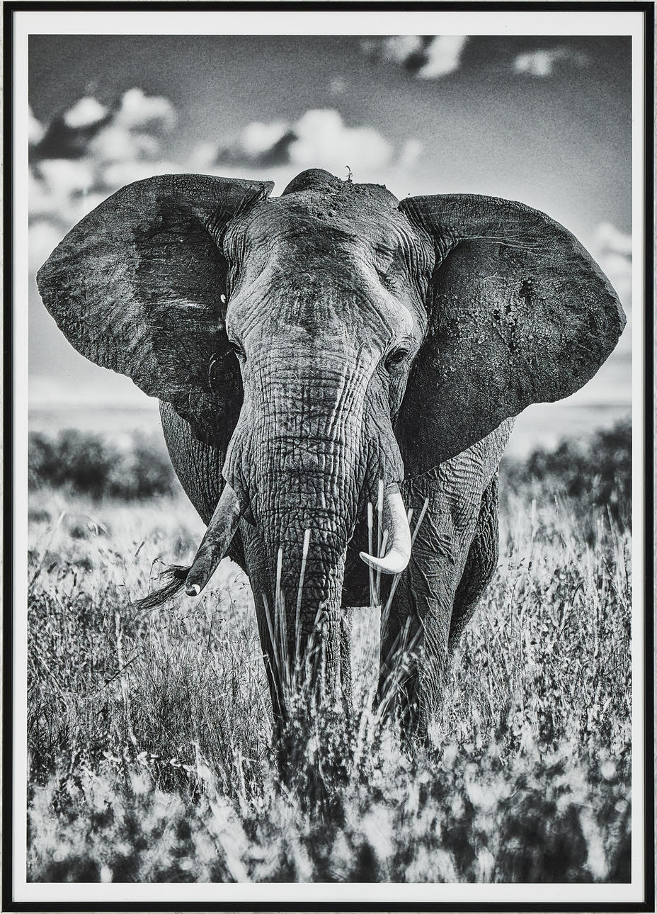 STEFAN ANDERSSON. “Kenya 2023" photography.