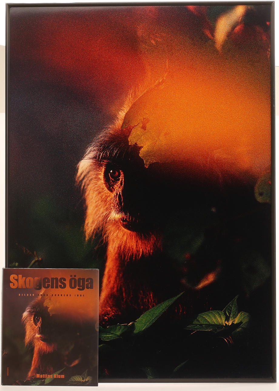 MATTIAS KLUM. Giclé-print and signed book “The Eye of the Forest”.