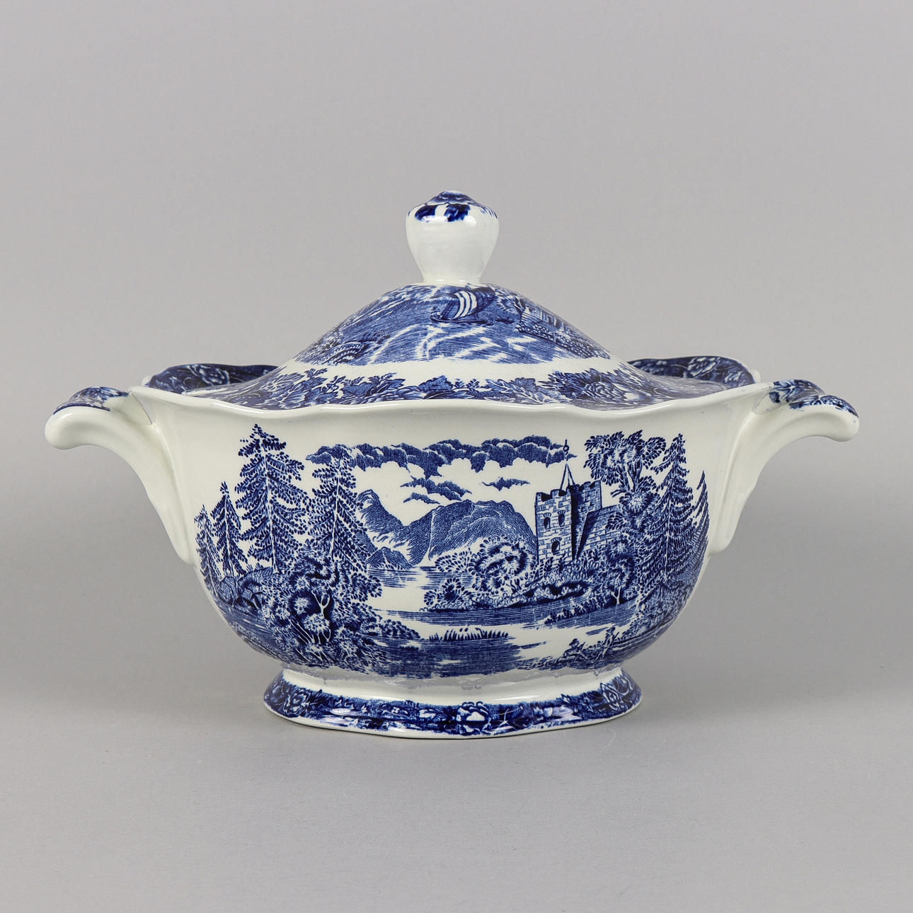 TERRENO DE SETAS EN Arabia.