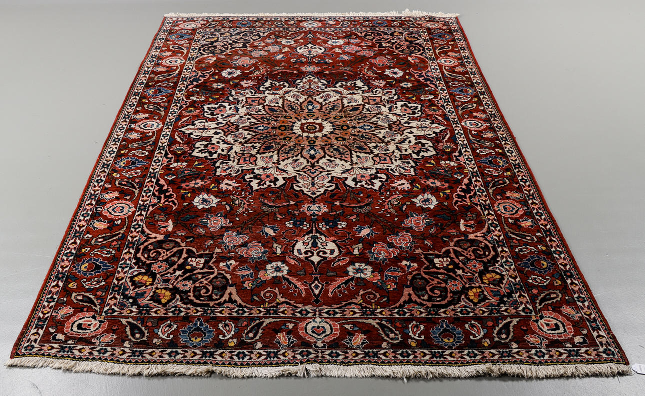 LOUNGE CARPET Baktiari, 330x213 cm.
