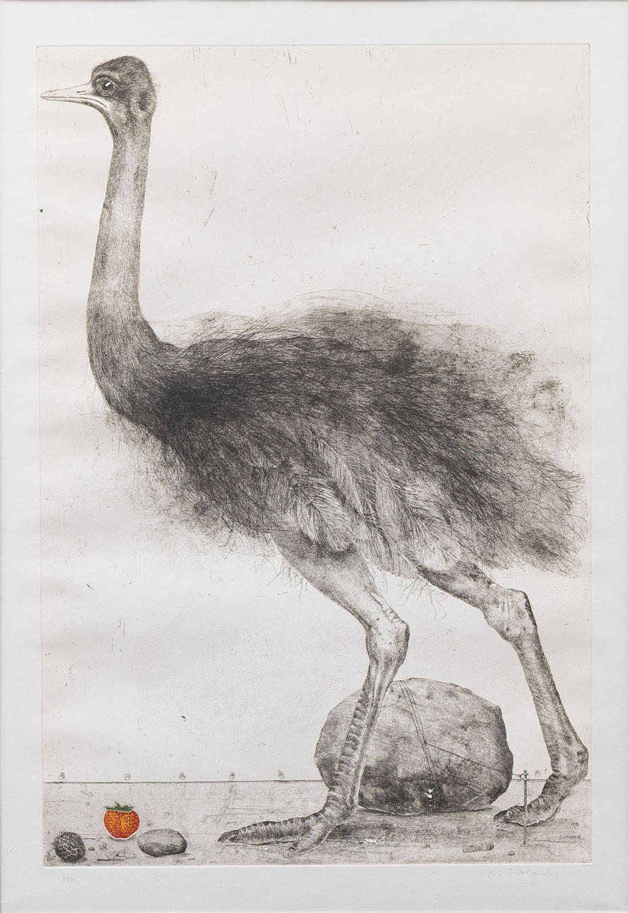 PG THELANDER. Ostrich, etching, signed and numbered.