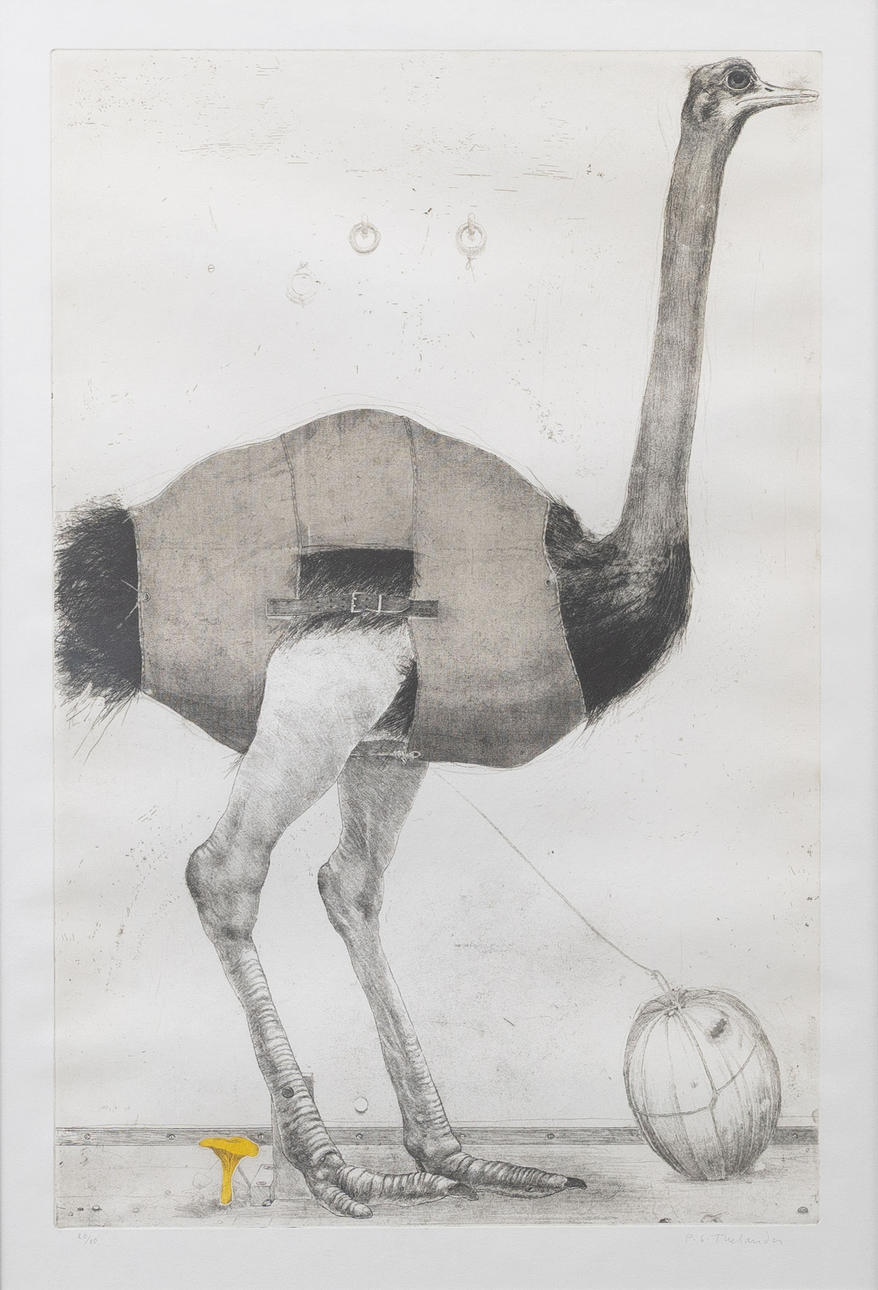 PG THELANDER. Ostrich, etching, signed and numbered.