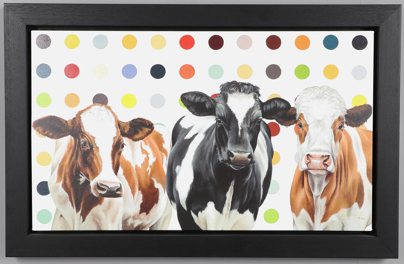 HAYLEY GOODHEAD. DAMIEN'S HERD.