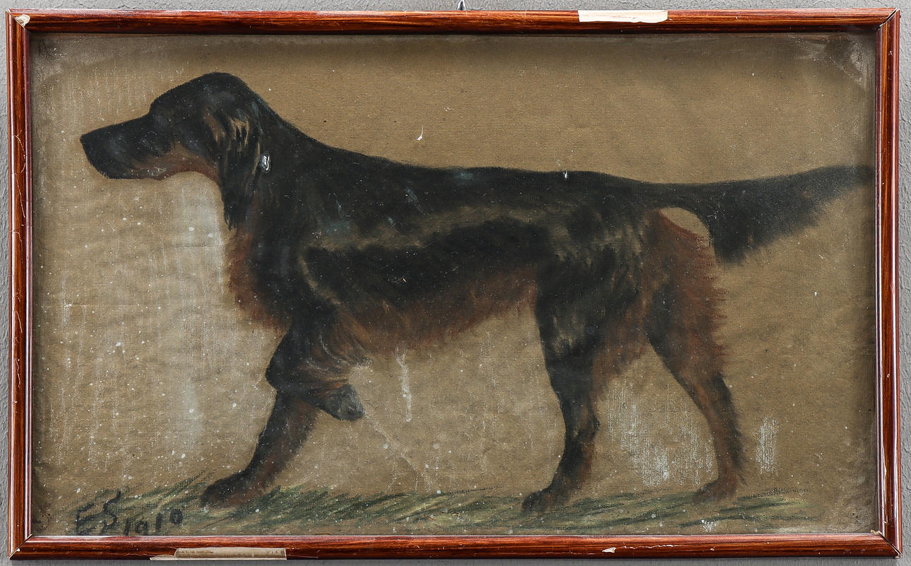 DOG PORTRAIT, Unknown artist, signed.