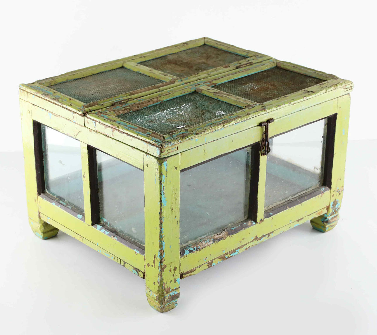 A greenhouse, 20th century.