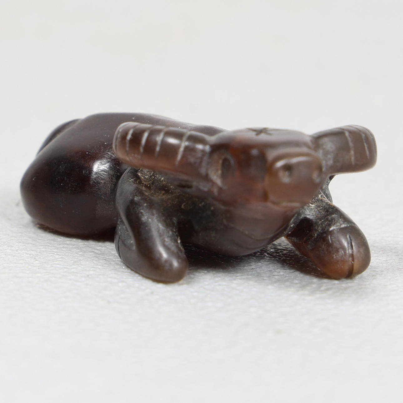 EN SNIDAD HORNVATTENBUFFEL.