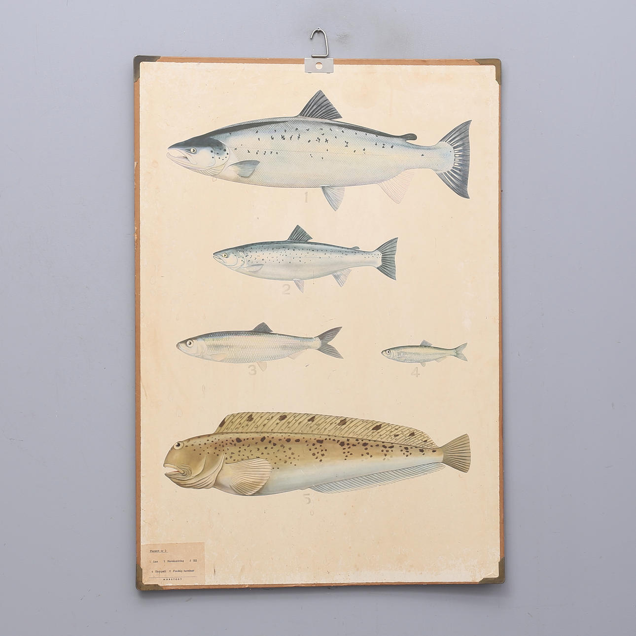 A SCHOOL PLAN, fish, Norstedt.