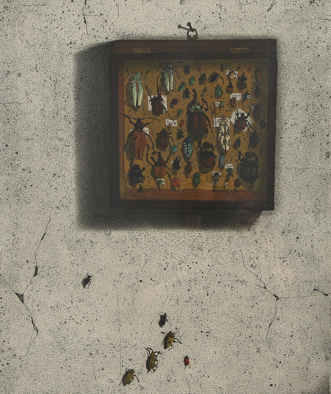 KRESSEL DIETER. Etching, “Beetle box”, signed, -74, numbered 10/100.