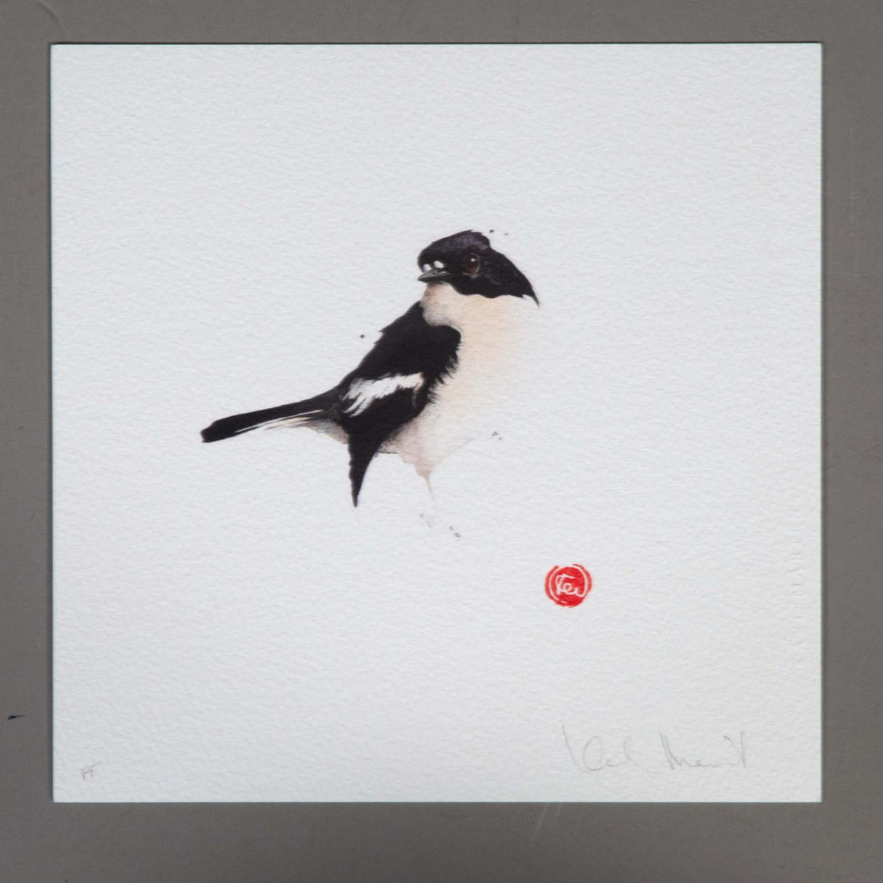 KARL MÅRTENS. Black and white flycatcher, lithograph, signed sample print.