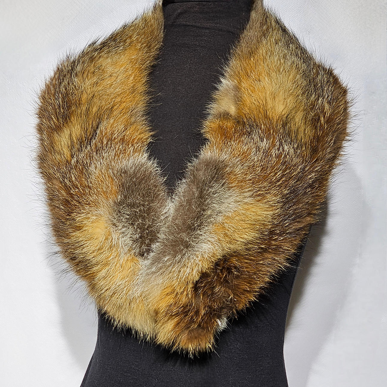PENCE. Large tuxedo collar in red fox.