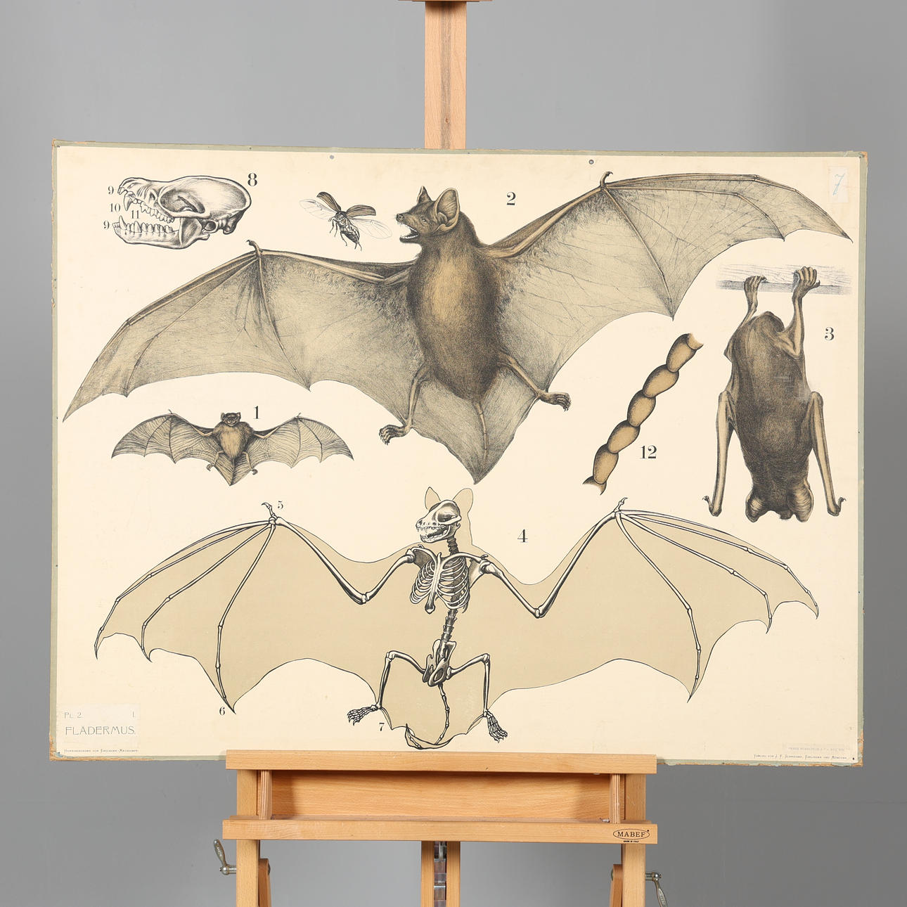 EIN SCHULPLAN, Bat, Frans Svanström & Co, Stockholm.