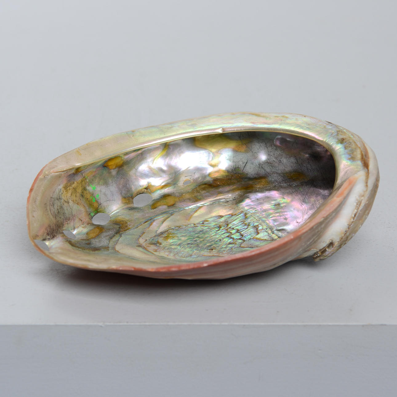 MERENKUORIVI, helmiäinen.