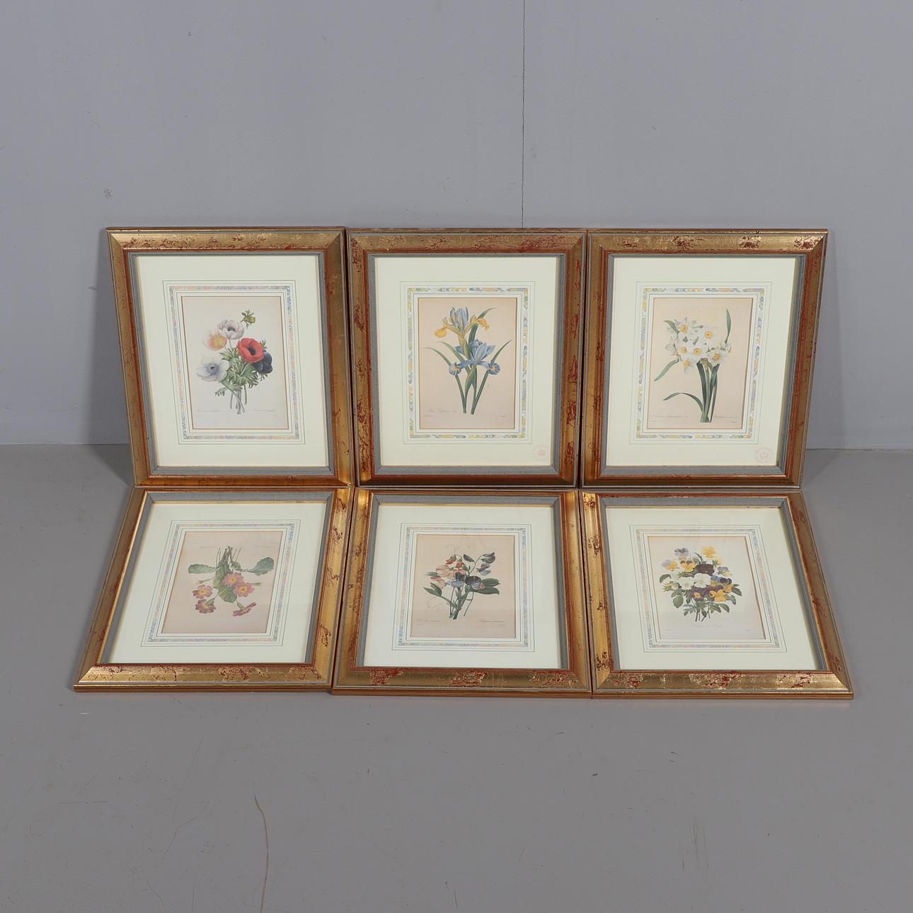 SÆT BOTANISKE TRYK - NATURHISTORISK MUSEUM.