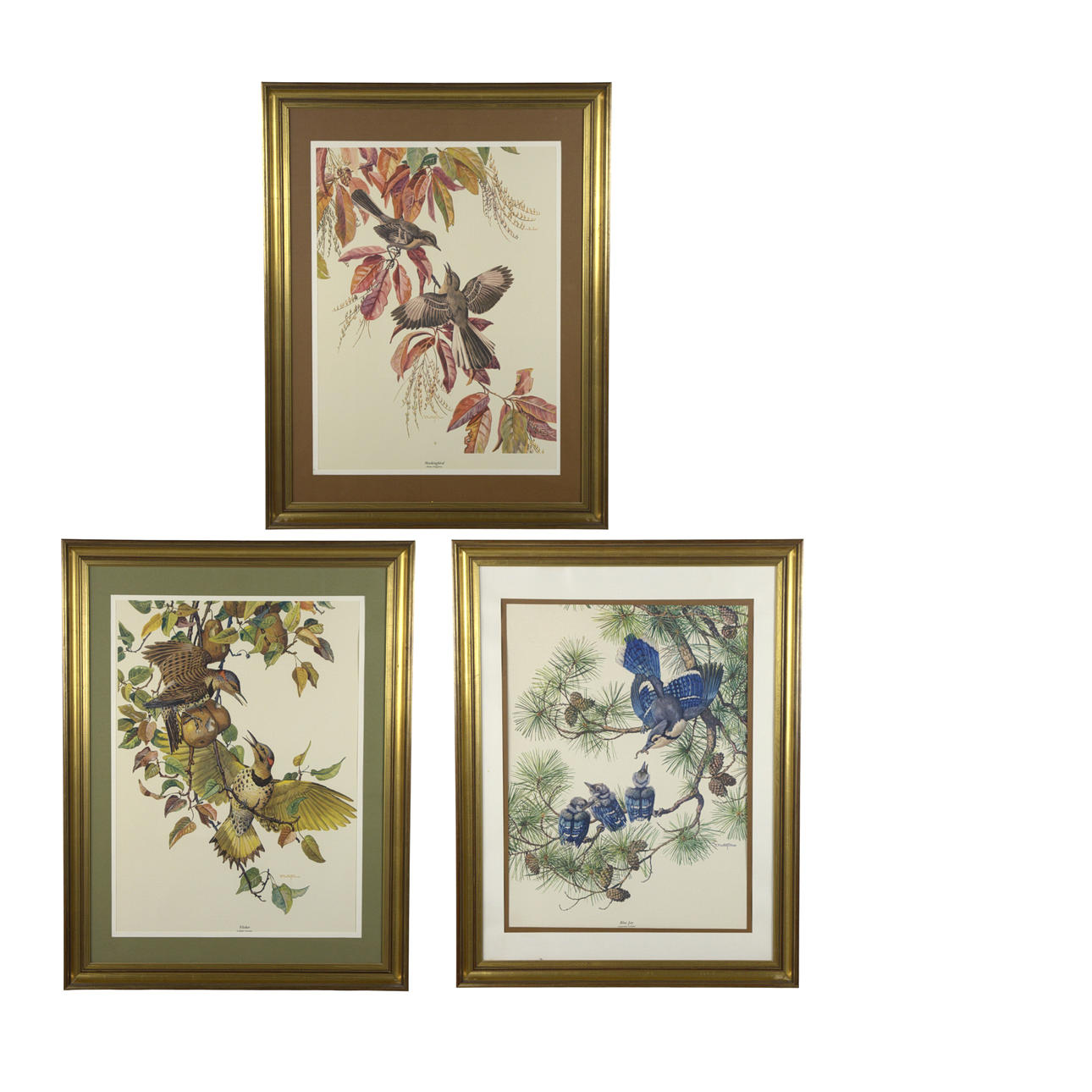 PRINT 3 pieces, after Elisabeth Paxton Oliver, “Mockingbird”, “Flicker”, “Blue Jay”, signed in print, 20th century.