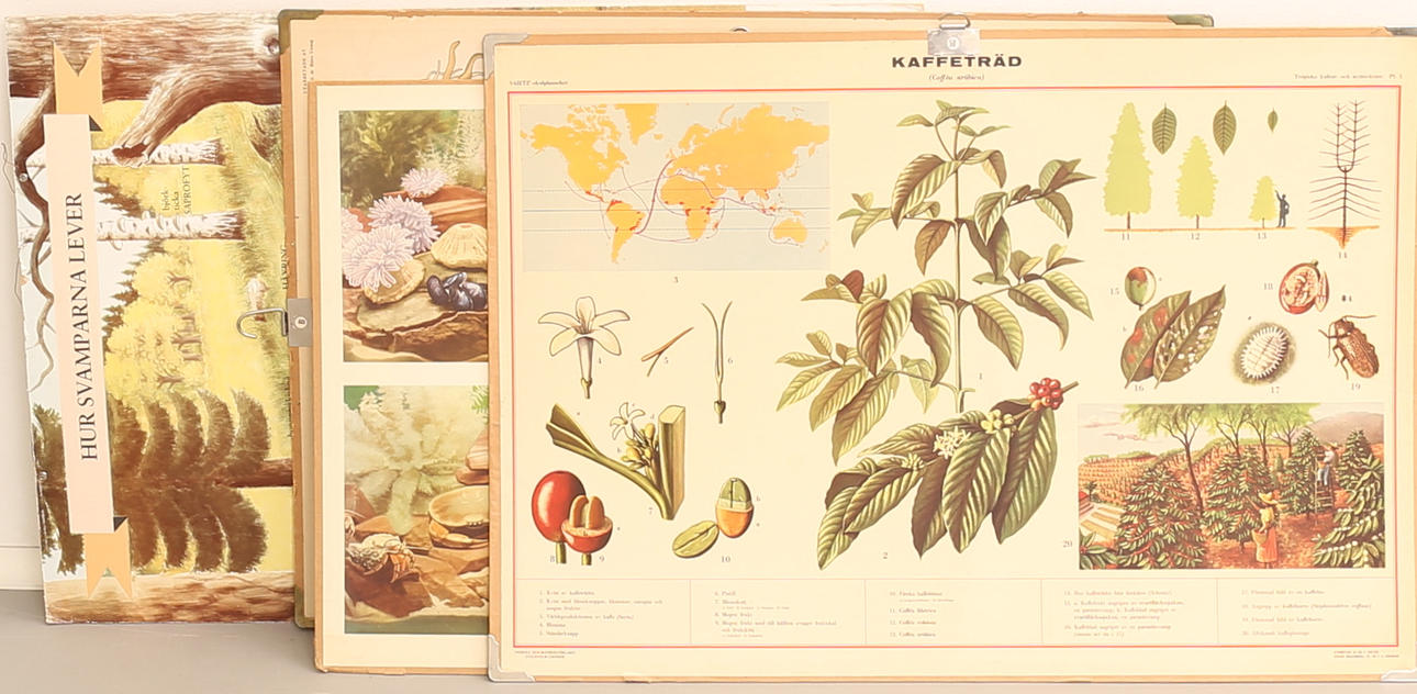 KOULUSUUNNITELMAT, 4 kpl.