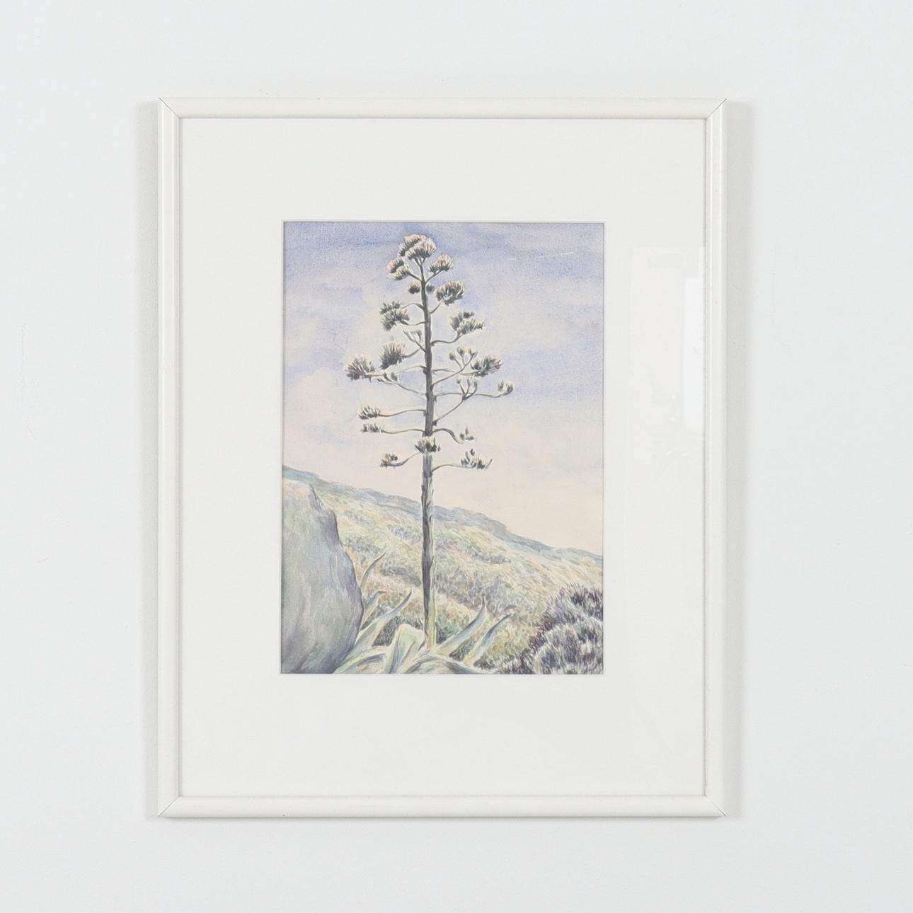 LARS RICHARD HÖPPNER. Agave, watercolour, signed verso.